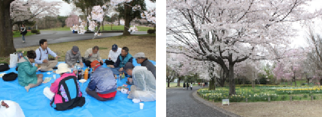 患者会「いずみ」 お花見