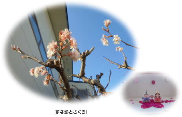 2016春の飾り