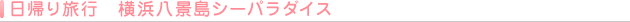 A藷s@liV[p_CX