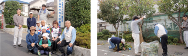 毎年恒例「庭木の剪定」